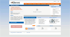 Desktop Screenshot of exuberantinc.com